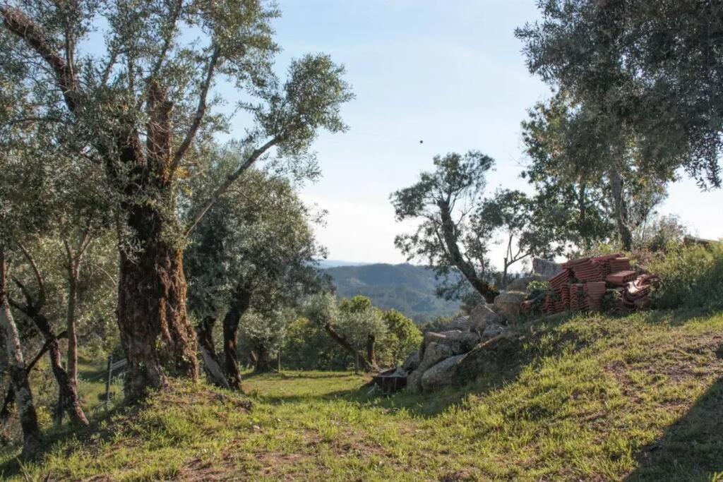 Cantinho Da Pereira Lugar Kültér fotó