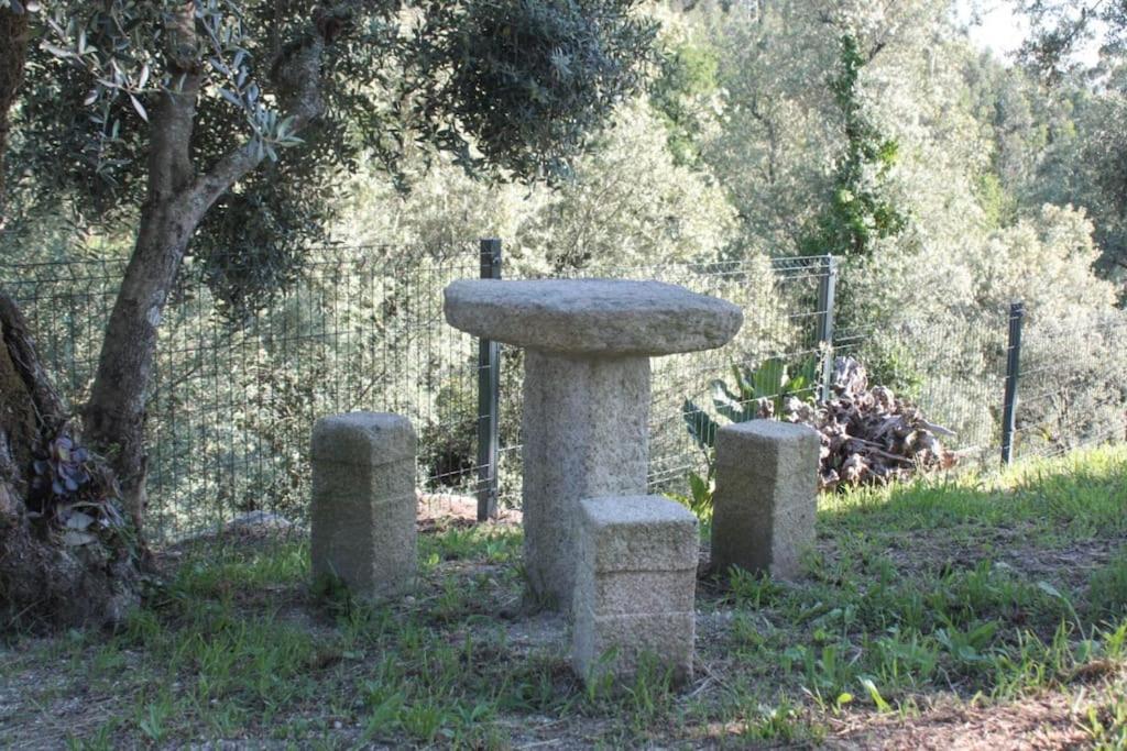 Cantinho Da Pereira Lugar Kültér fotó